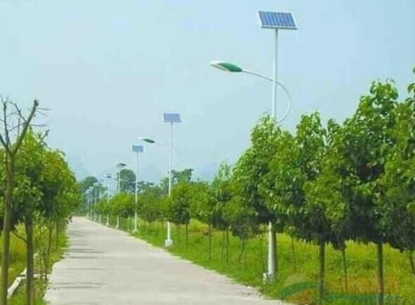 С�^(q��)·��