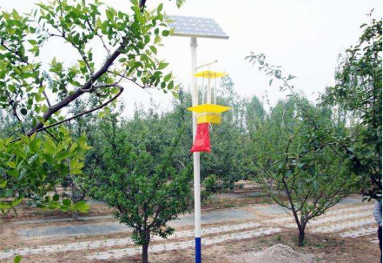 ̫��ܚ��x�������X