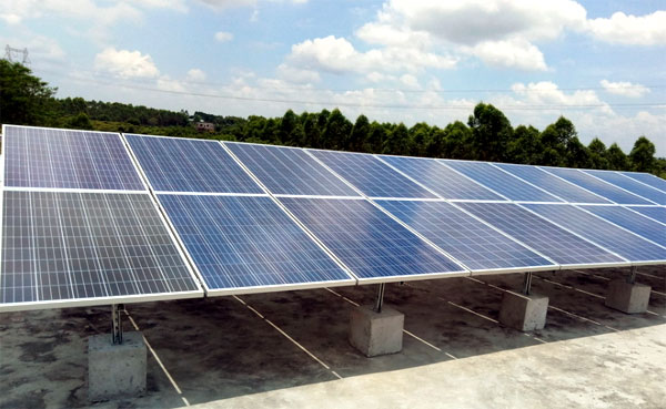 ��(n��i)�ɹ�̫�(y��ng)���x�W(w��ng)ϵ�y(t��ng)